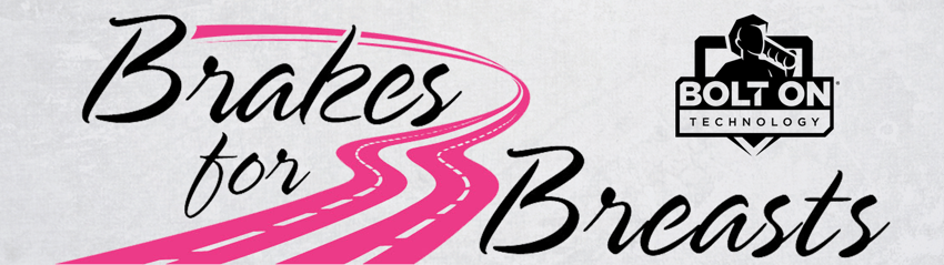 Help Us Put the Brakes on Breast Cancer